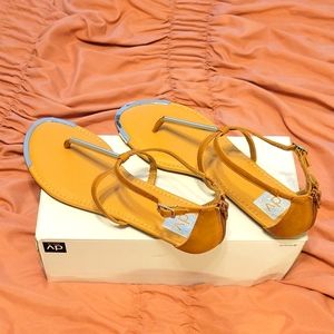 Dolce Vita thong sandals